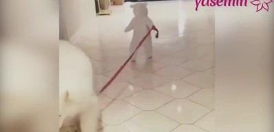 Kendisinden b&uuml;y&uuml;k k&ouml;peği gezdiren bebek