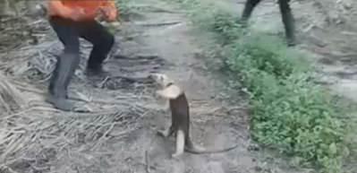Kendisine sataşan genci yere serdi