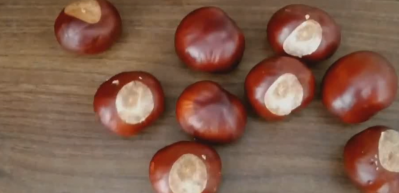 Kestaneden sıvı deterjan yapımı 