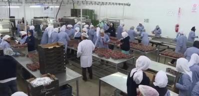 Kiraz ihracatında b&uuml;y&uuml;k artış