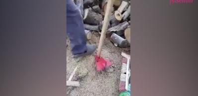 Kış aylarında odun kesmek i&ccedil;in kullanılan en pratik balta!