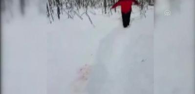 Kocaeli'de eğitim u&ccedil;ağı d&uuml;şt&uuml;: 1 yaralı