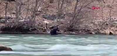 K&ouml;peği kurtarmak i&ccedil;in buz gibi suya girdi