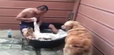 K&ouml;peğin en keyifli g&uuml;n&uuml;