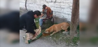 K&ouml;peğine mama verilen engelli &ccedil;ocuğun sevinci