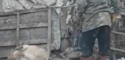 Köpeğini sopayla dövdü söyledikleri pes dedirtti!