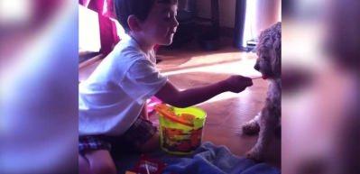 K&ouml;peğiyle şekerini paylaşan sevimli &ccedil;ocuk