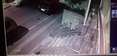 K&ouml;pek &ccedil;etesine tek başına kafa tutan kedi!