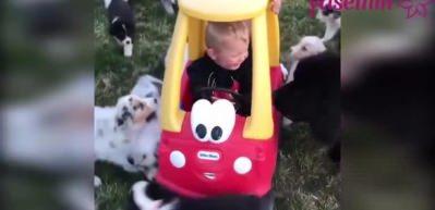 K&uuml;&ccedil;&uuml;k bebeğin yavru k&ouml;peklerle m&uuml;cadelesi