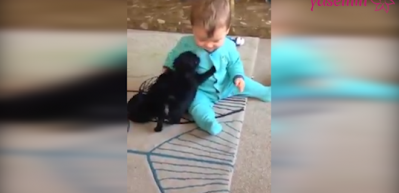 K&uuml;&ccedil;&uuml;k &ccedil;ocuğun k&ouml;pek sevgisi