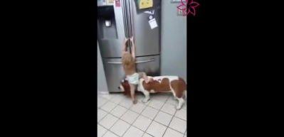 K&uuml;&ccedil;&uuml;k &ccedil;ocuğun k&ouml;pekle işbirliği