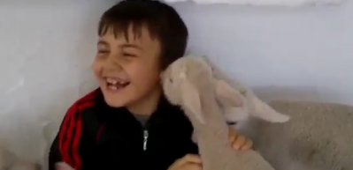 Kulak memesini ger&ccedil;ek sanan kuzular g&uuml;ld&uuml;rd&uuml;