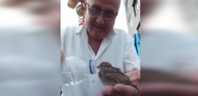 Kuşa elleriyle su i&ccedil;iren merhametli amca