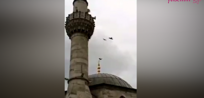 Kuşlar bu camiye konmuyor!