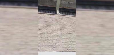 Kuşlar insanların yaptıkları dikenlere bakın ne yaptı!