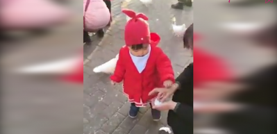 Kuşun ağzındaki ekmeği alan afacan!