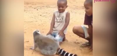 Lemur'un istekleri g&uuml;ld&uuml;rd&uuml;!