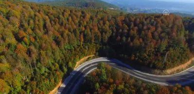 Longoz Ormanları'nın g&ouml;r&uuml;nt&uuml;leri mest ediyor