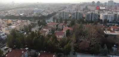 Mahalleyi tavus kuşları sardı
