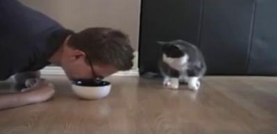 Mamasını yiyor gibi yapan kedi sahibine bakın ne tepki verdi