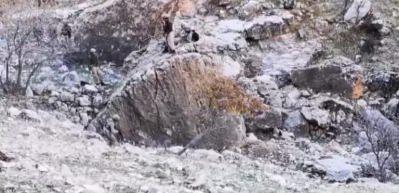 Mardin'de 4 ter&ouml;ristin etkisiz hale getirildiği sığınak imha edildi