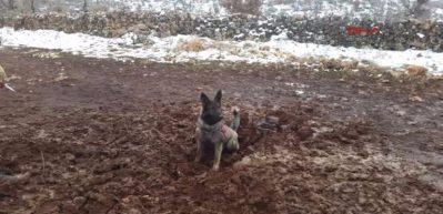 Mardin'de facia son anda &ouml;nlendi