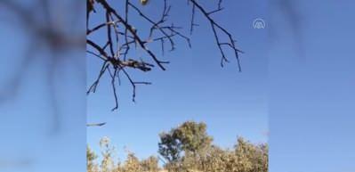 Mardin'de PKK'lı ter&ouml;ristlere ait sığınakta patlayıcı ele ge&ccedil;irildi