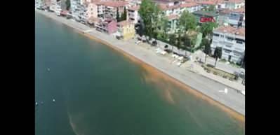 Marmara Denizi kızıla b&uuml;r&uuml;nd&uuml;