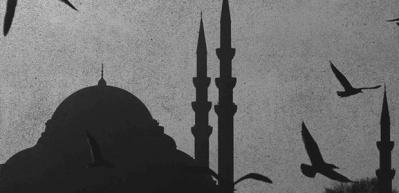 "Kimsenin ayıbını görme araştırma! Öleceğini bilsen yalan söyleme"