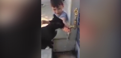 Merhametli &ccedil;ocuk, kediye elleriyle su i&ccedil;irdi