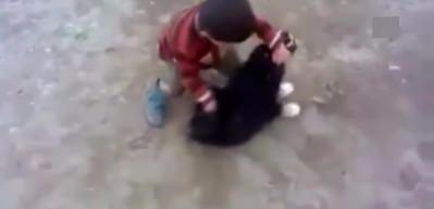 Minik &ccedil;ocukla yavru k&ouml;peğin kavgası