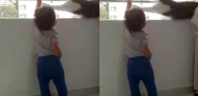 Minik dostunu koruyan kedi!