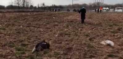 Minik m&uuml;ltecinin umuda yolculuğu y&uuml;rek sızlattı