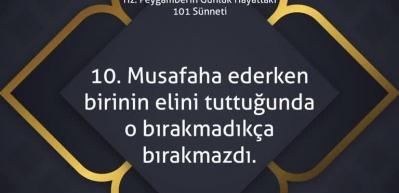 Mustafa Karataş, Peygamber Efendimizin 101 S&uuml;nneti 