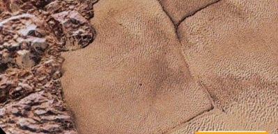 NASA, Pl&uuml;ton gezegenine iniş videosunu yayınladı!