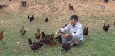 Oğlu yumurta yesin diye tavuk &ccedil;iftliği kurdu