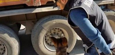 Operasyonda ele ge&ccedil;irilen ka&ccedil;ak ila&ccedil;lar polisi de şaşırttı