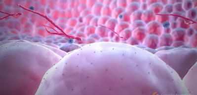 Ortalığı karıştıran iddia! Rusya korkun&ccedil; bir silahın peşinde