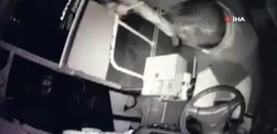 Otob&uuml;s şof&ouml;r&uuml; yolcusu tarafından bı&ccedil;aklandı... O anlar kamerada