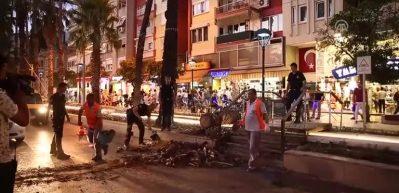 Palmiye ağacı yola devrildi, kıl payı kurtuldu! 