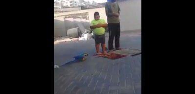 Papağan korkusundan namaz kılamadı