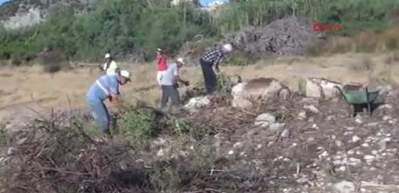  Patara Antik Kenti'nde bazilika ortaya çıkarıldı