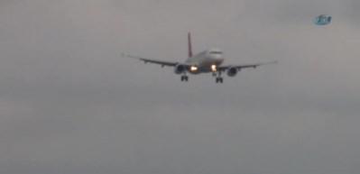 Pilotların başı martılarla dertte