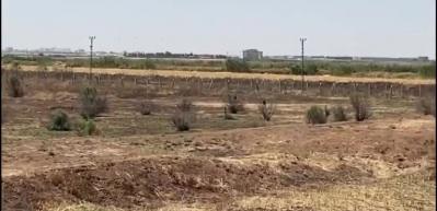 PKK'dan kalleş tuzak! Tek tek imha edildiler