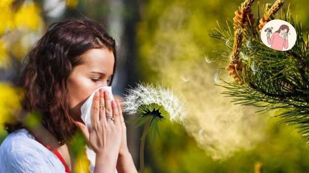 Polen alerjisi nedir ve nasıl anlaşılır? Polen alerjisine ne iyi gelir?