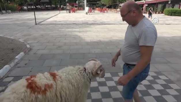 video.haber7.com