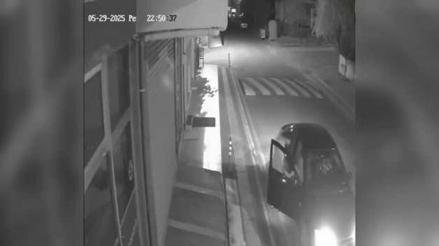 Sokak köpeklerini gören genç camdan aracın içine atladı