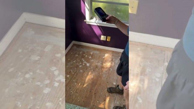 Evinin döşemesini kaldırınca şoke oldu: 80 bin arıyla aynı evde yaşamış!