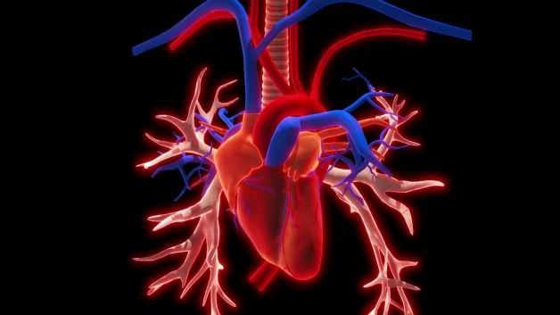 Kalpte delik (ASD) artık kapalı yöntemle hızlı ve güvenli bir şekilde tedavi edilebiliyor!