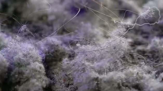 Evin i&ccedil;indeki g&ouml;r&uuml;nmez tehlike: Uzman isim '&Ccedil;ocuklarda astımı tetikliyor' diyerek uyardı